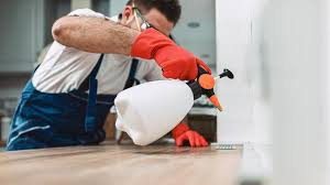 Real Estate Pest Inspections in Waskom, TX